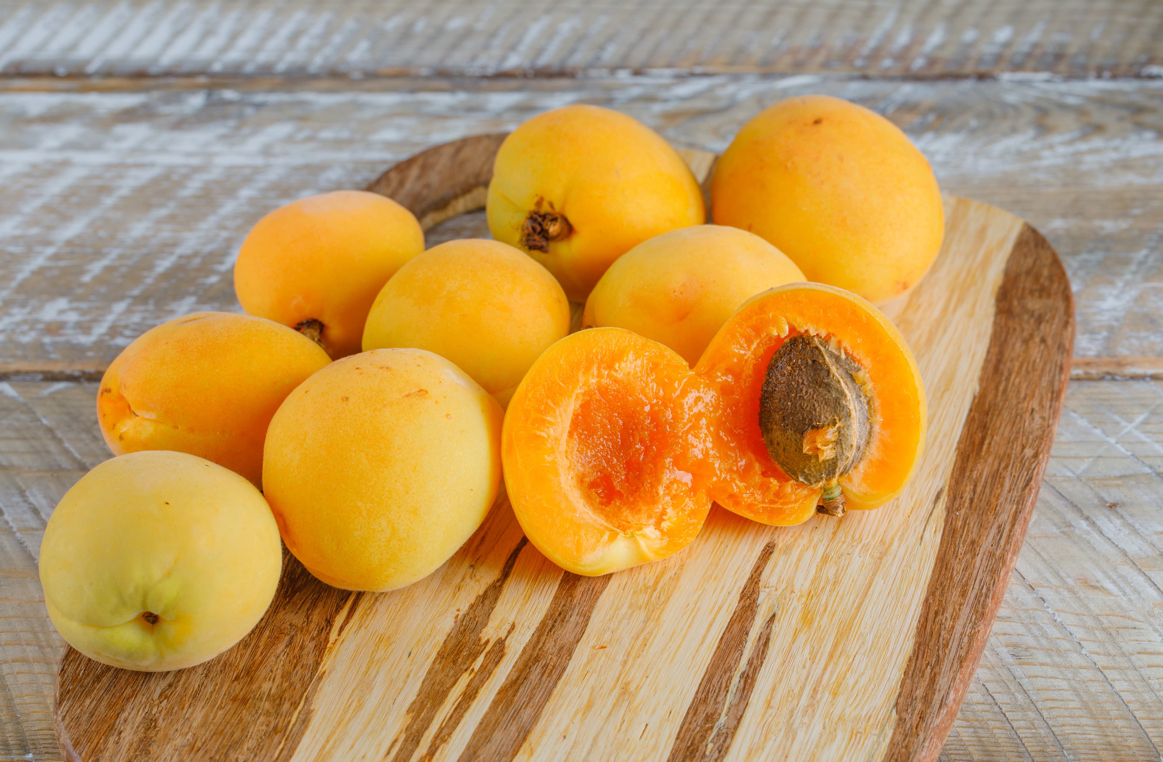 Apricot