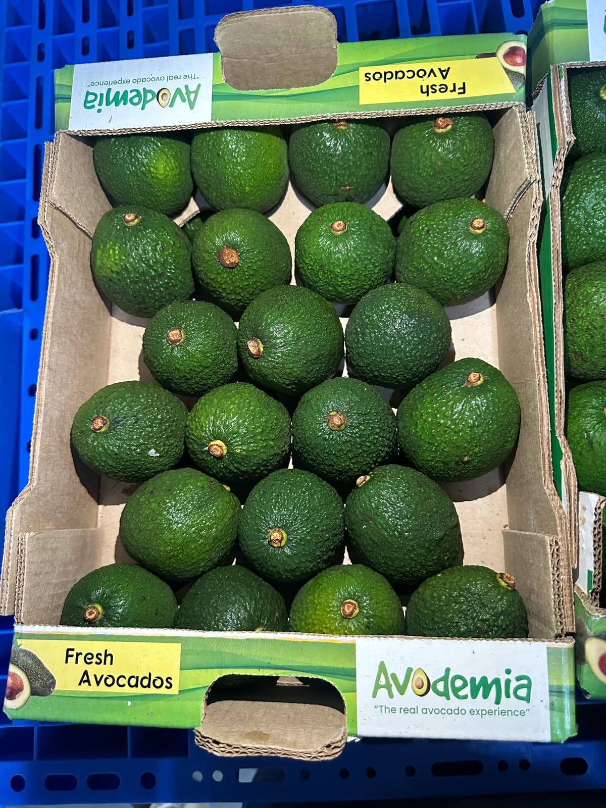 avacado