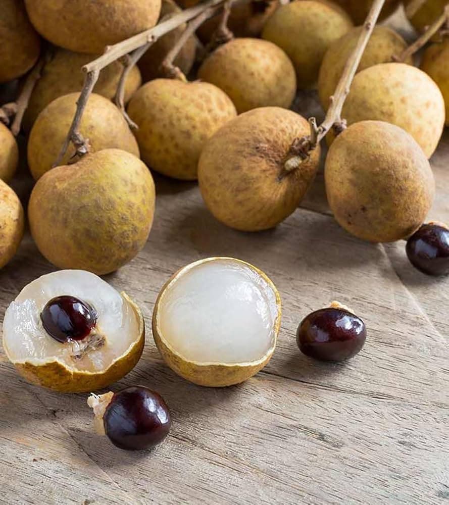 Longan