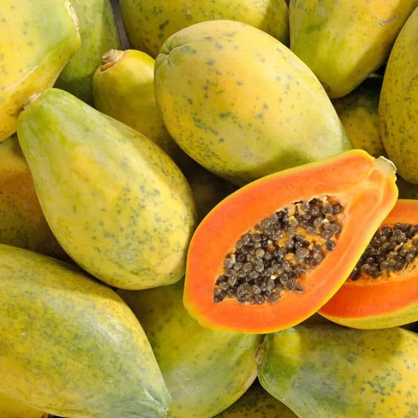 Papaya